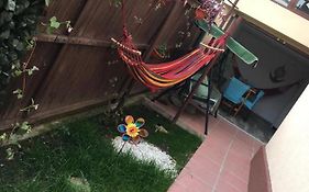 Summer Vibes